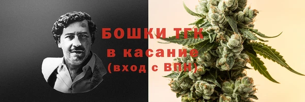 ешки Новодвинск