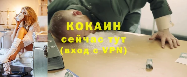 ешки Новодвинск