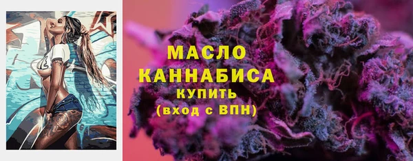 ешки Новодвинск