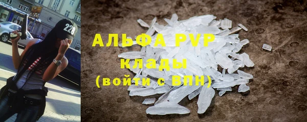 ешки Новодвинск